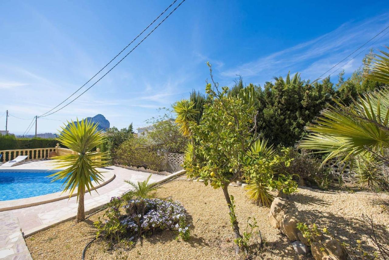Cactus - Plusholidays Calp