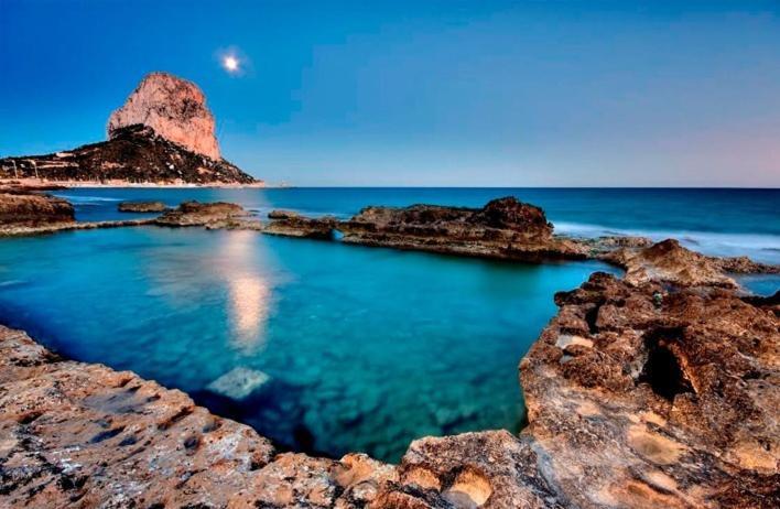 Cactus - Plusholidays Calp